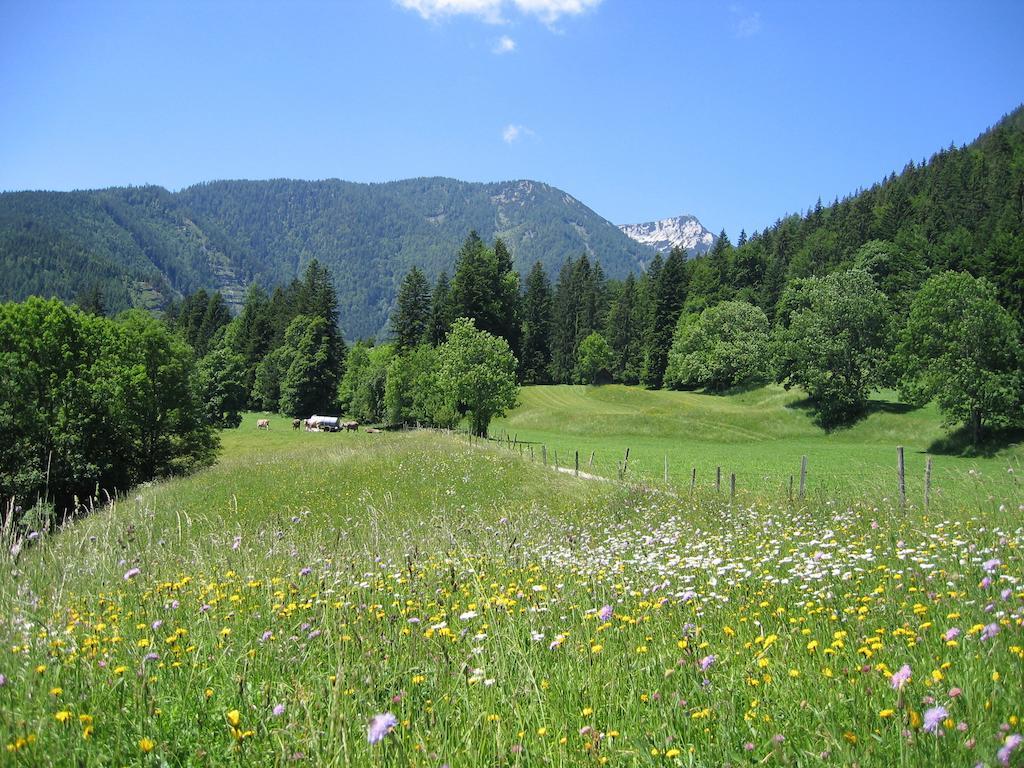 Bauernhof Haim-Schnepfleitner Pichl bei Aussee Exterior photo